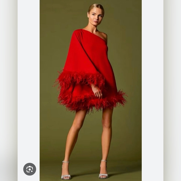 Antonio Melani Cosima One Sleeve Asymmetrical Neckline Feather Trim Dress - Picture 4 of 11